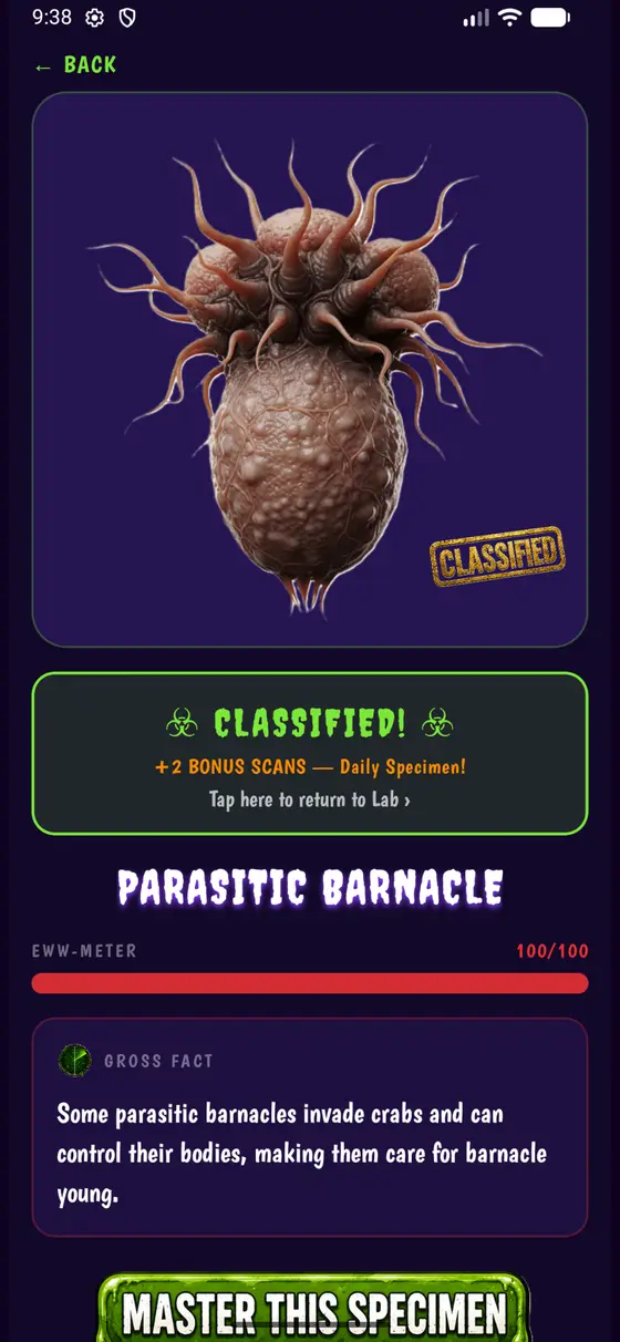 Classified specimen with EWW-meter and gross fact
